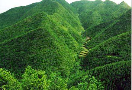 某旅游集團發展戰略和流程優化咨詢案例